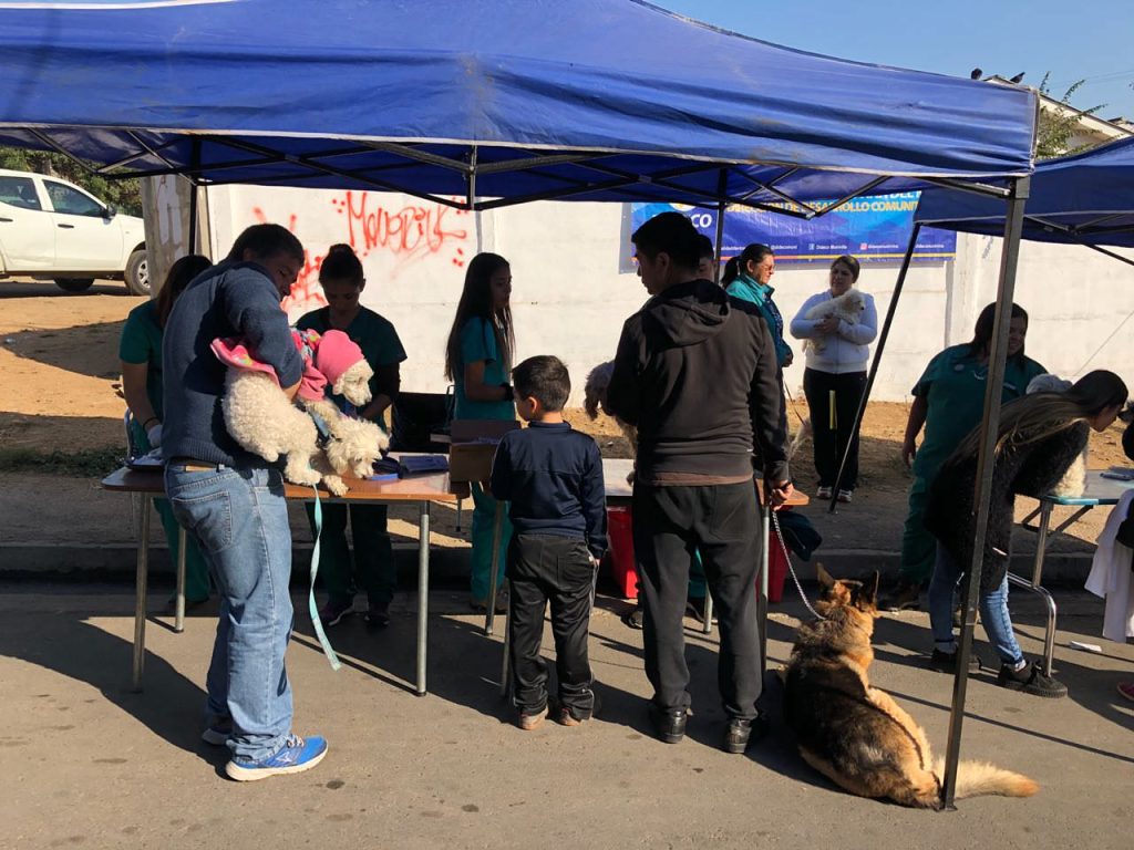 Imagen principal: Vecinos de Reñaca Alto accedieron a operativo médico-social del municipio de Viña del Mar