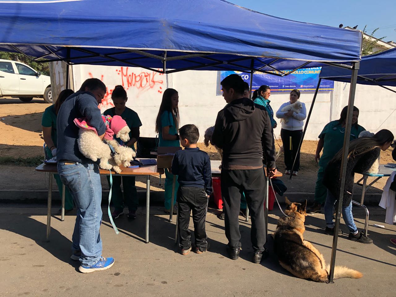 Vecinos de Reñaca Alto accedieron a operativo médico-social del municipio de Viña del Mar