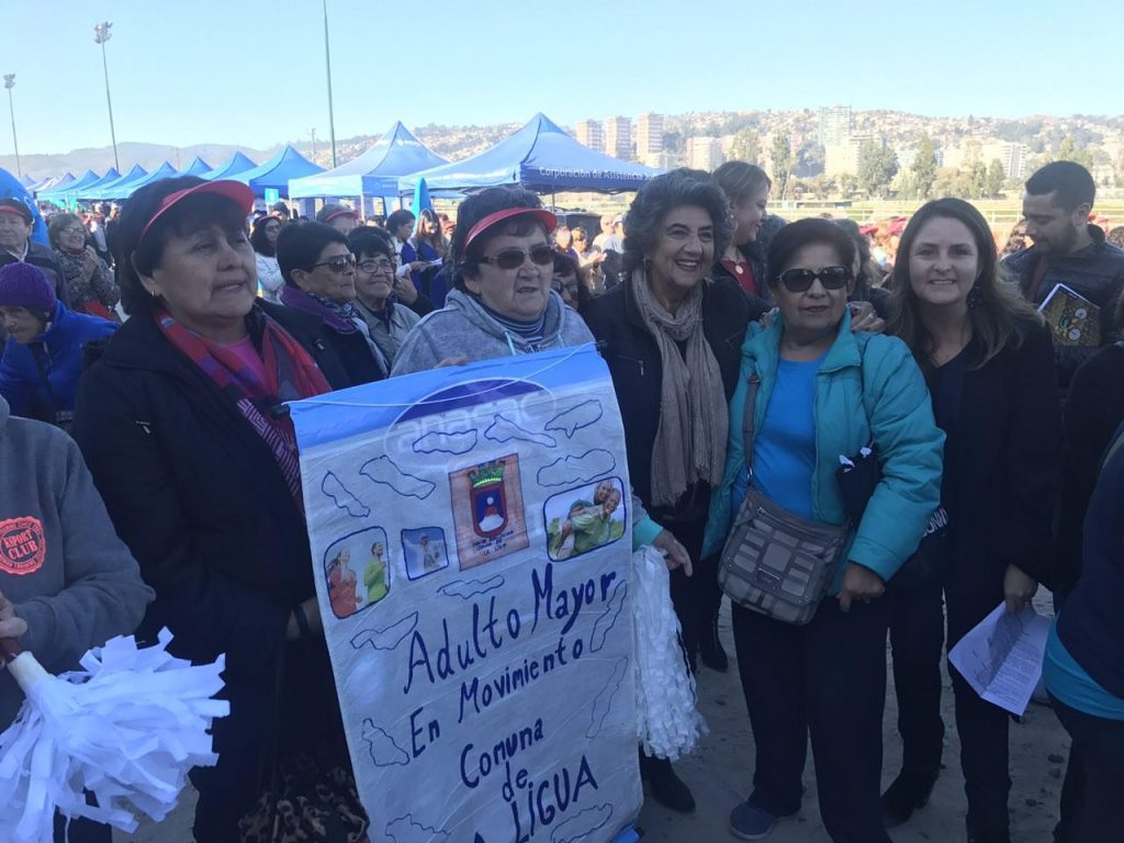 Imagen principal: Organizaciones gubernamentales y municipio de Viña del Mar realizaron feria por el envejecimiento positivo