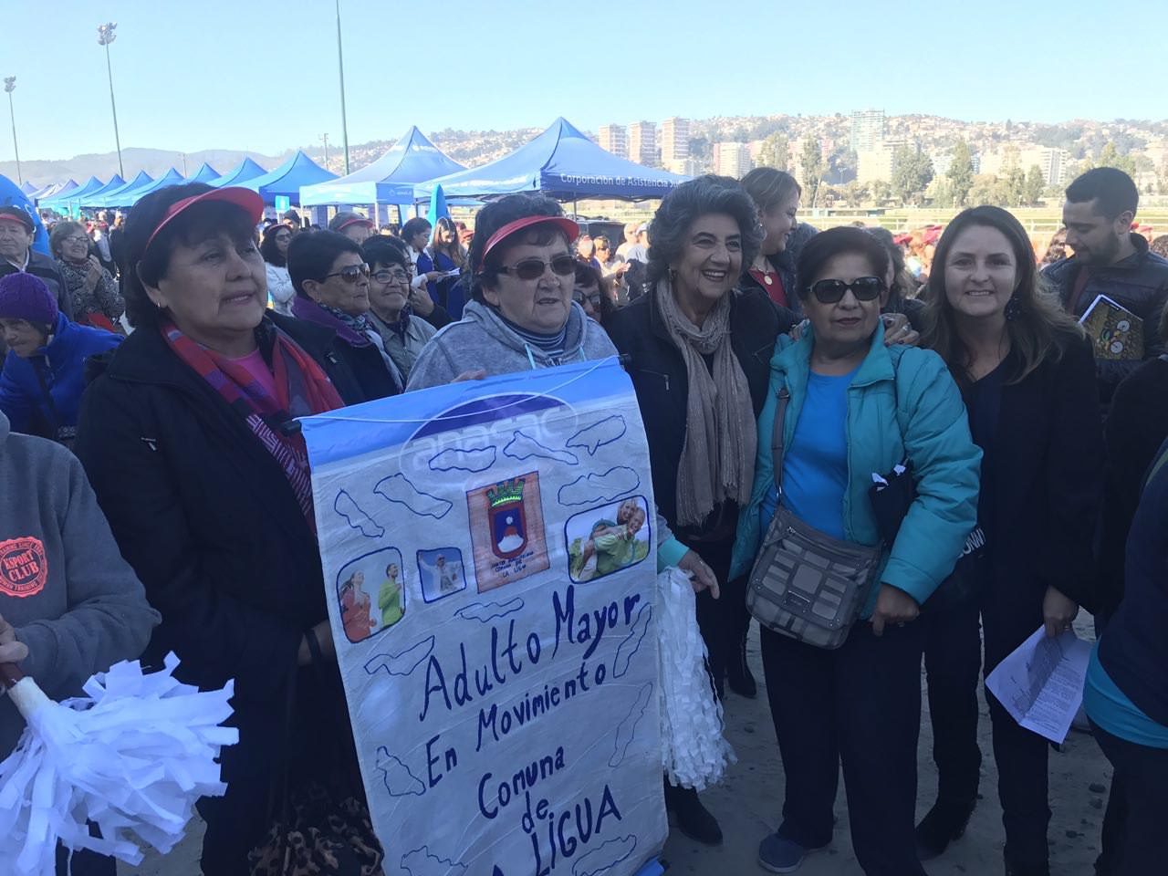 Organizaciones gubernamentales y municipio de Viña del Mar realizaron feria por el envejecimiento positivo