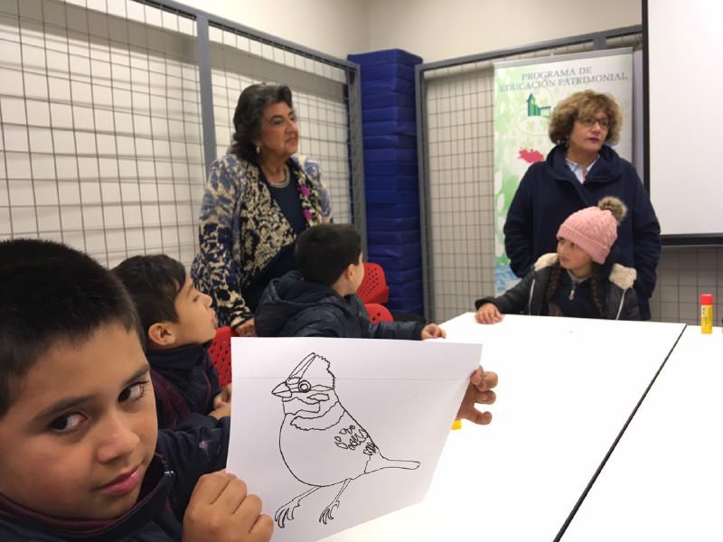 Con taller para escolares, Municipio de Viña del Mar conmemoró Día Internacional de las aves
