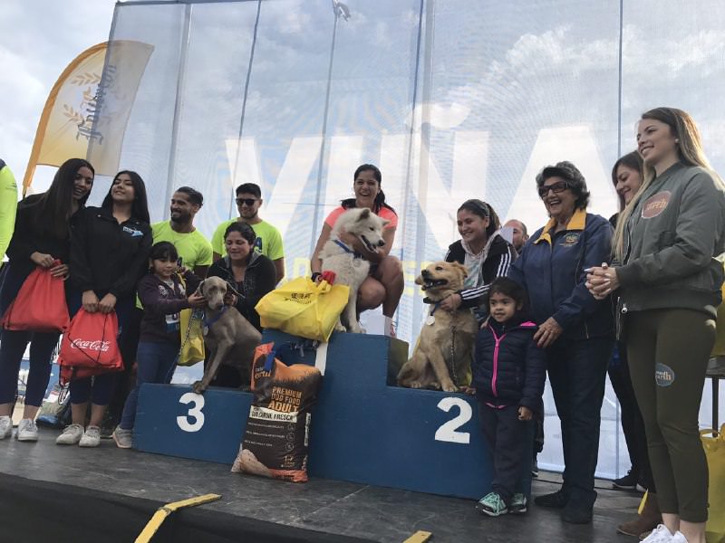 En Reñaca debutaron las perrorunning 2018, organizadas por la Municipalidad de Viña del Mar