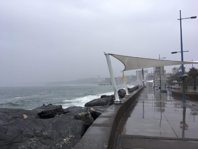 Municipio de Viña del Mar realizó positivo balance por sistema frontal