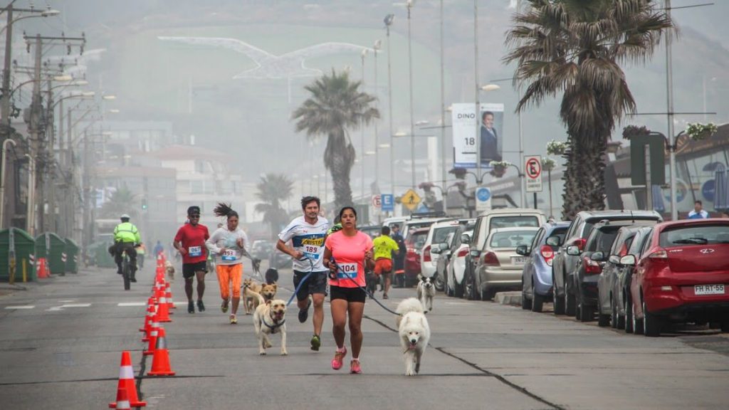 Imagen principal: Por sistema frontal, municipio de Viña del Mar suspende 2ª fecha de Perrorunning