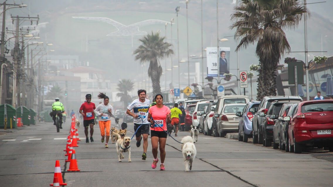 Por sistema frontal, municipio de Viña del Mar suspende 2ª fecha de Perrorunning