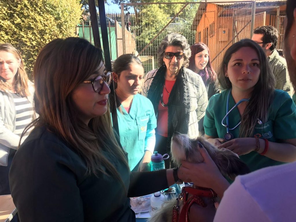 Imagen principal: Más de 1.680 atenciones han brindado los operativos médico-sociales de la Municipalidad de Viña del Mar