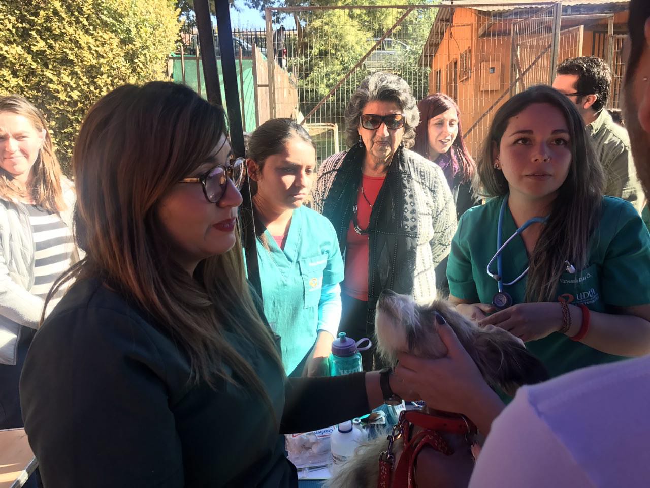 Más de 1.680 atenciones han brindado los operativos médico-sociales de la Municipalidad de Viña del Mar