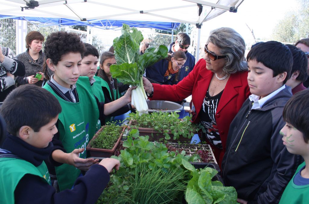 Imagen de la noticia: Programa educación ambiental