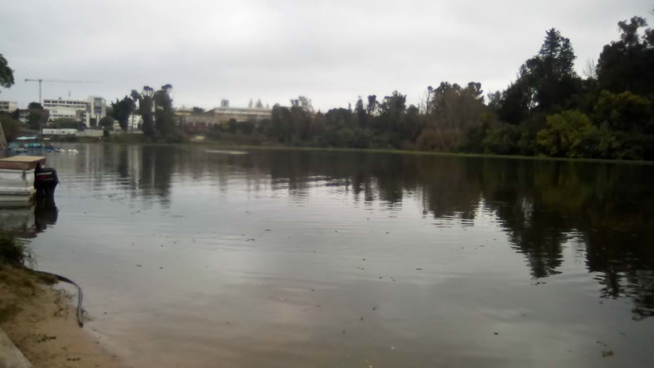 Municipio de Viña del Mar realiza etapa final de limpieza de laguna Sausalito