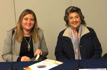 Municipalidad de Viña del Mar abordará con seremi de medio ambiente situación de vertederos a través de mesa técnica