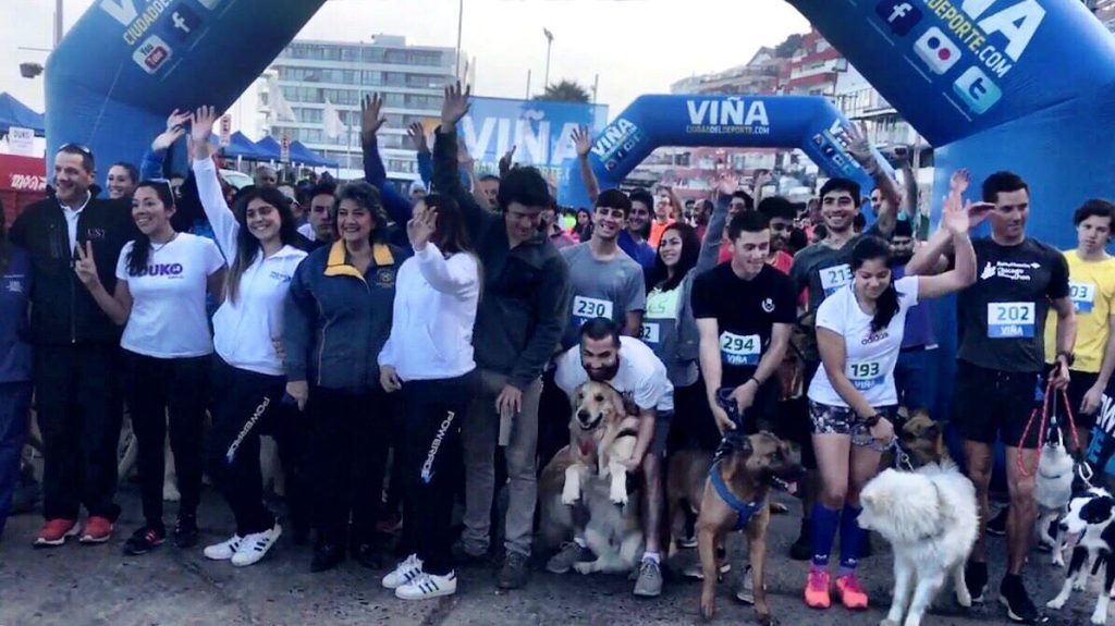 Imagen principal: Reñaca fue escenario de la tercera fecha de las perrorunning 2018