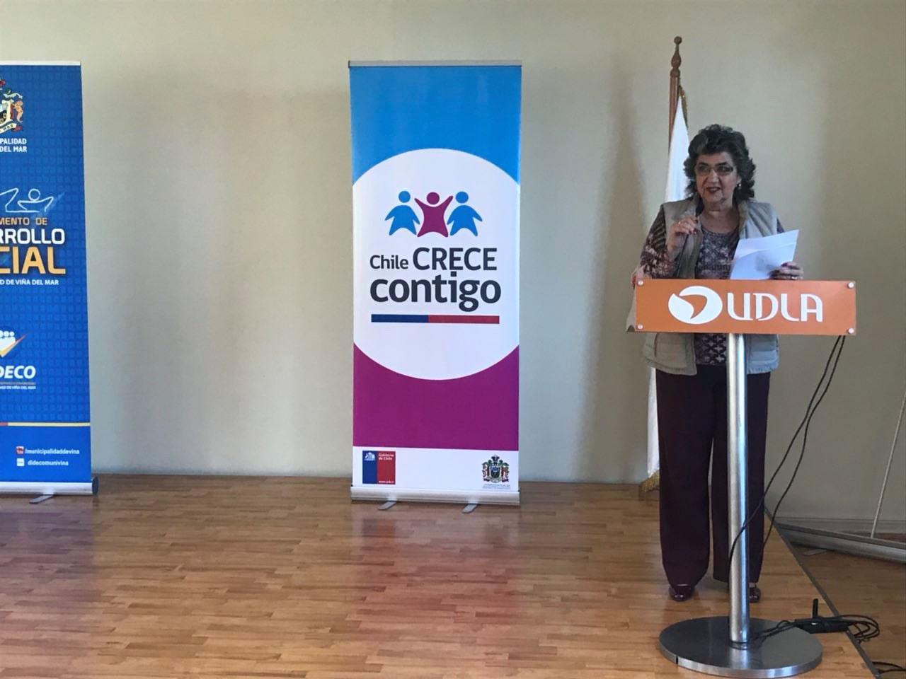 Profesionales del municipio de Viña del Mar fueron capacitados para contar con mejores herramientas que fortalezcan la atención integral a menores