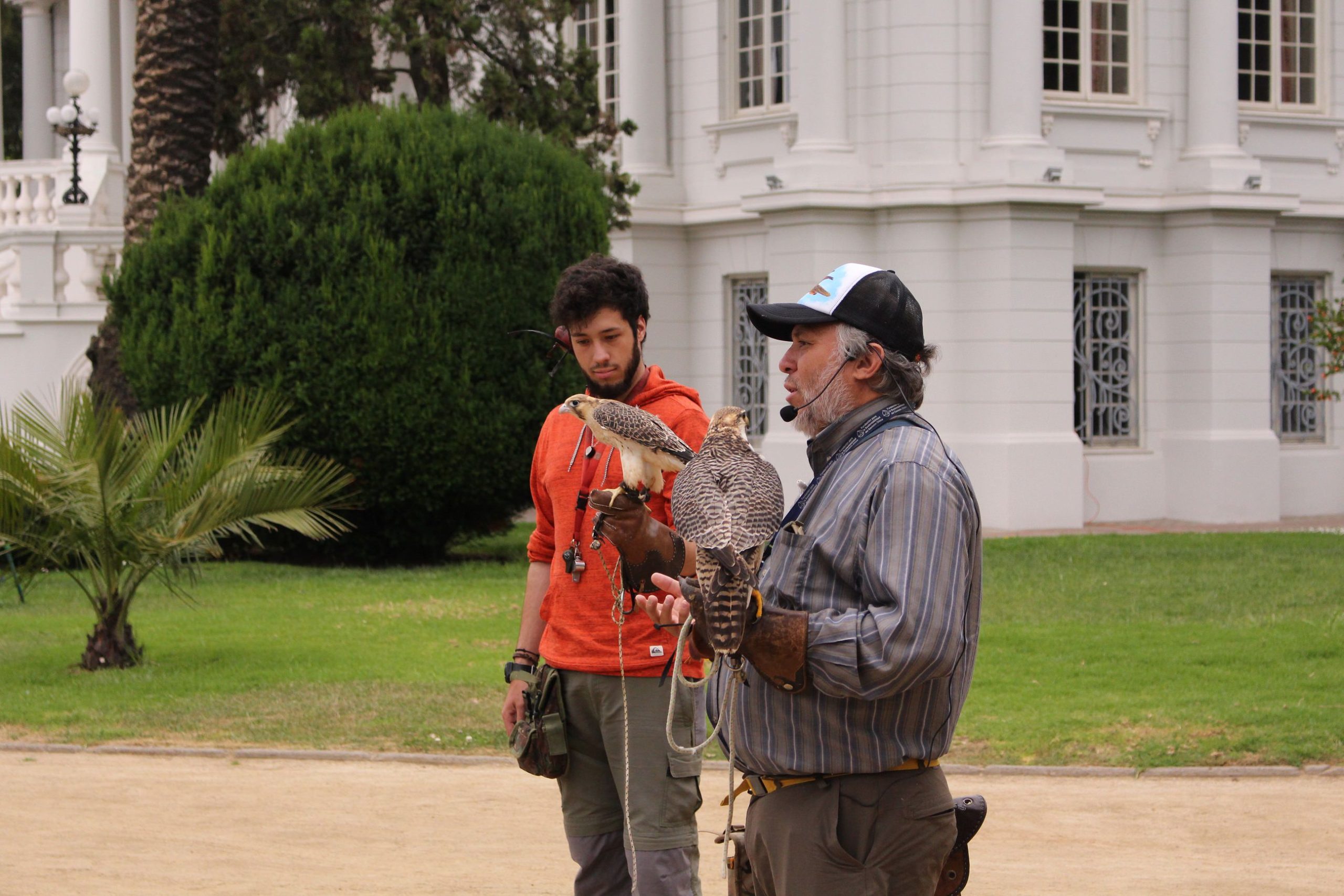 Con interesantes actividades se desarrollará en Viña del Mar el 11º Festival de Aves