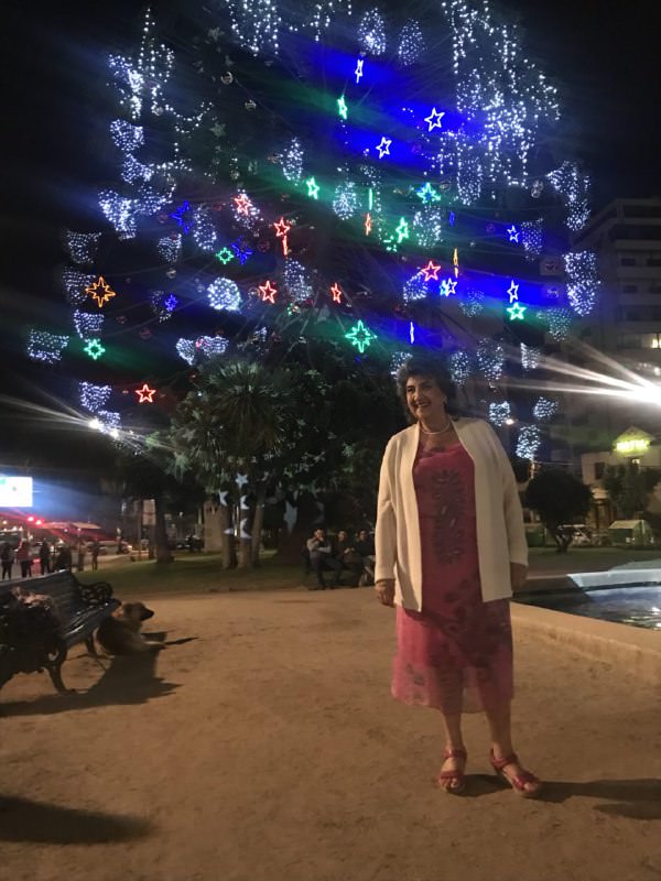 Viña del Mar se engalana de coloridas luces para fin de año y temporada estival
