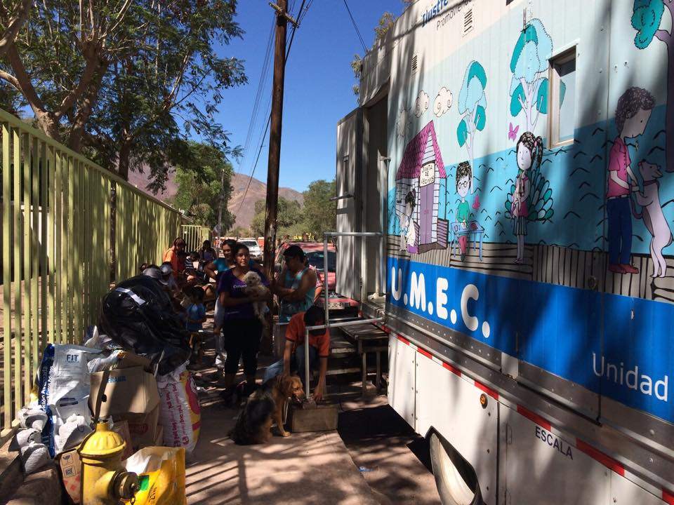 Municipio de Viña del Mar ayuda con clínica  veterinaria móvil  a mascotas afectadas en incendio de Limache