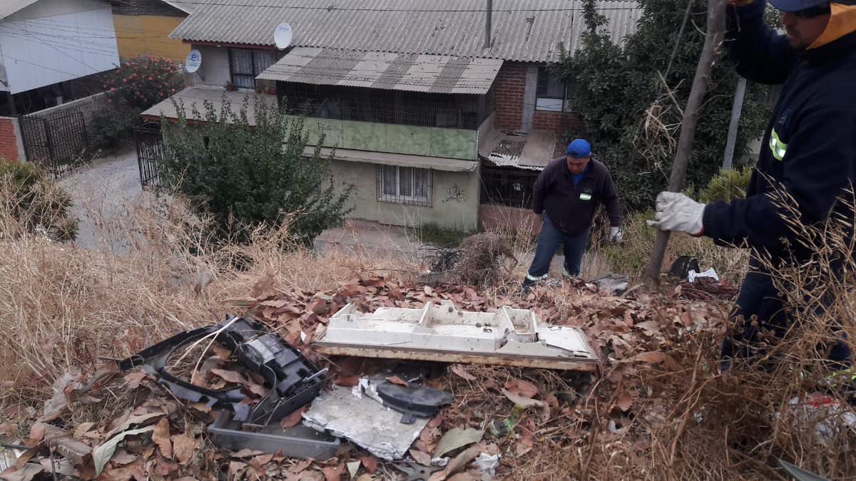 Municipio de Viña del Mar  refuerza programa de prevención  de incendios forestales