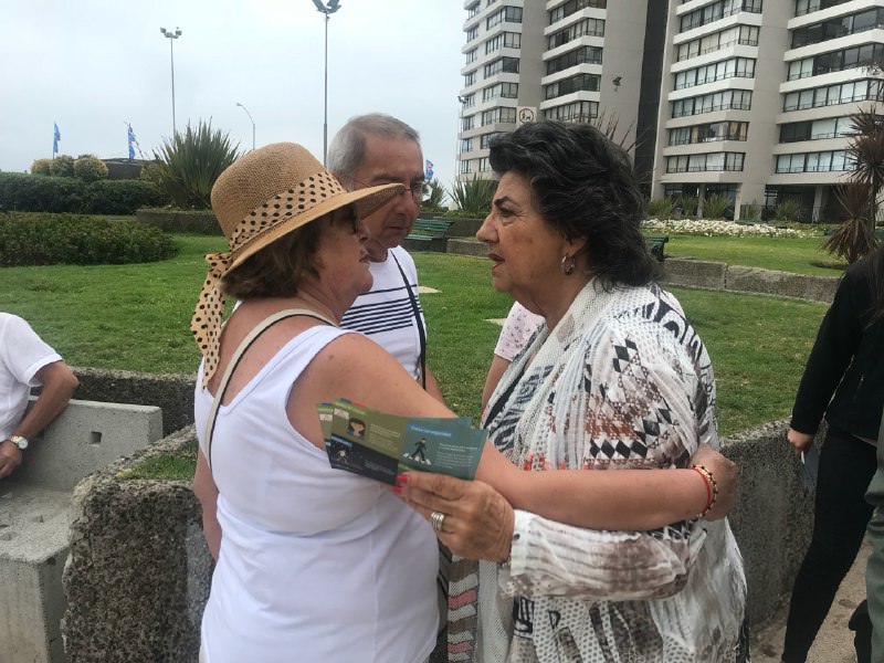 En Viña del Mar impulsan campaña preventiva de seguridad vial “Todos somos peatones”