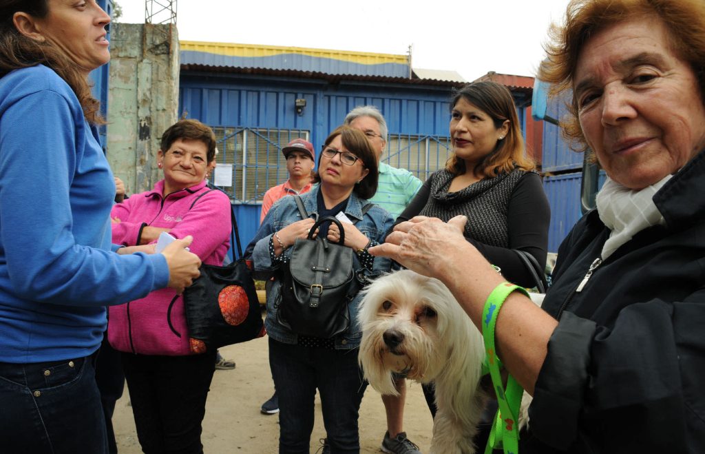Imagen principal: Municipio de Viña del Mar informa pasos para inscripción de mascotas en el registro Nacional