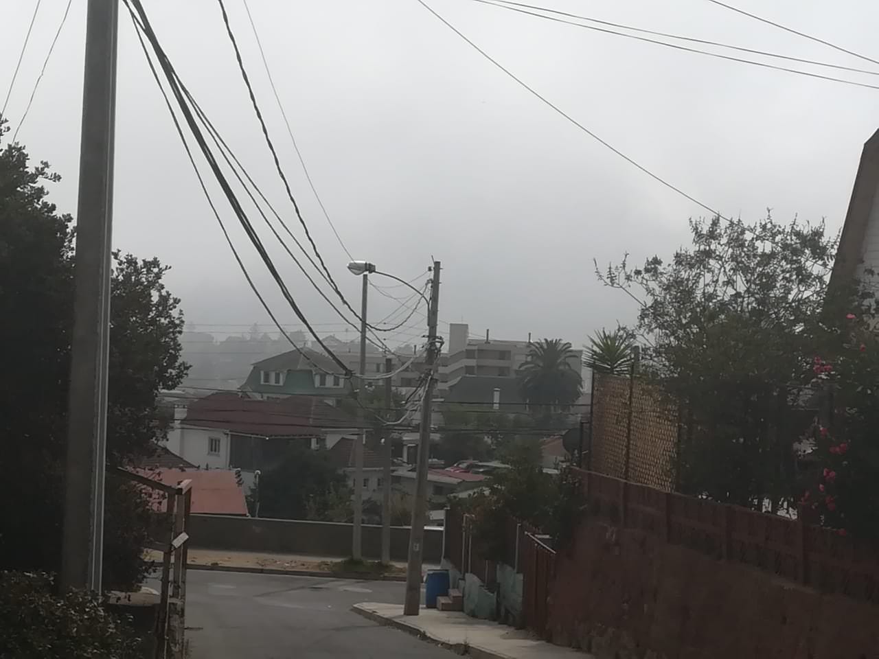 Municipio de Viña del Mar inició proceso para nuevo proyecto de iluminación