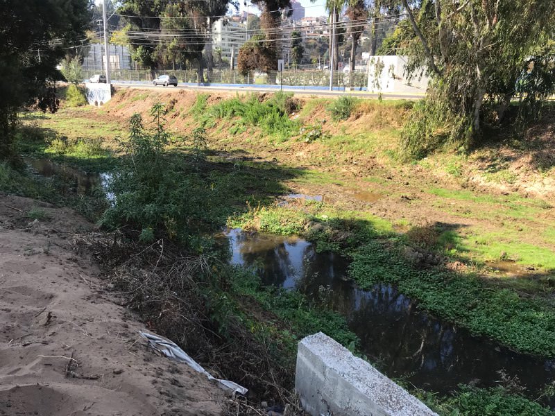 Construcción de dos nuevos puentes sobre estero de Reñaca se inicia el último trimestre de este año