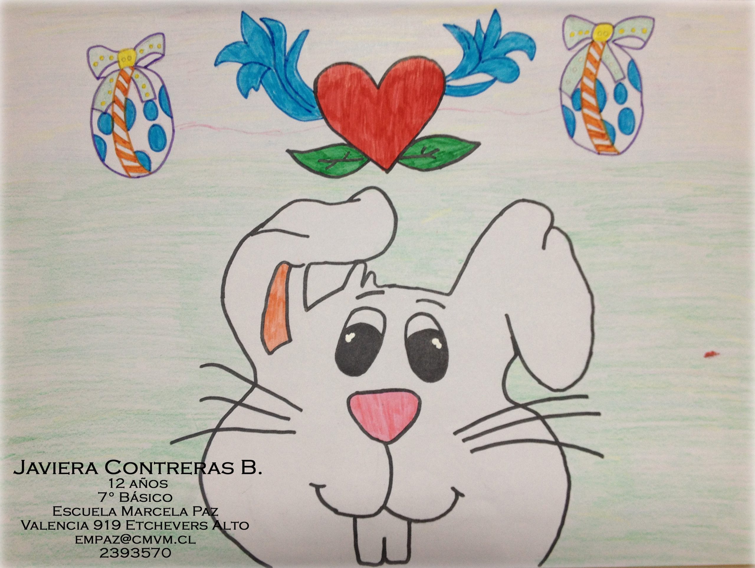 Invitan a niños a participar en concurso de dibujo del Programa Pasos de Viña del Mar