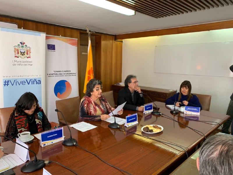 Disminuye ocurrencia de incendios forestales en Viña del Mar