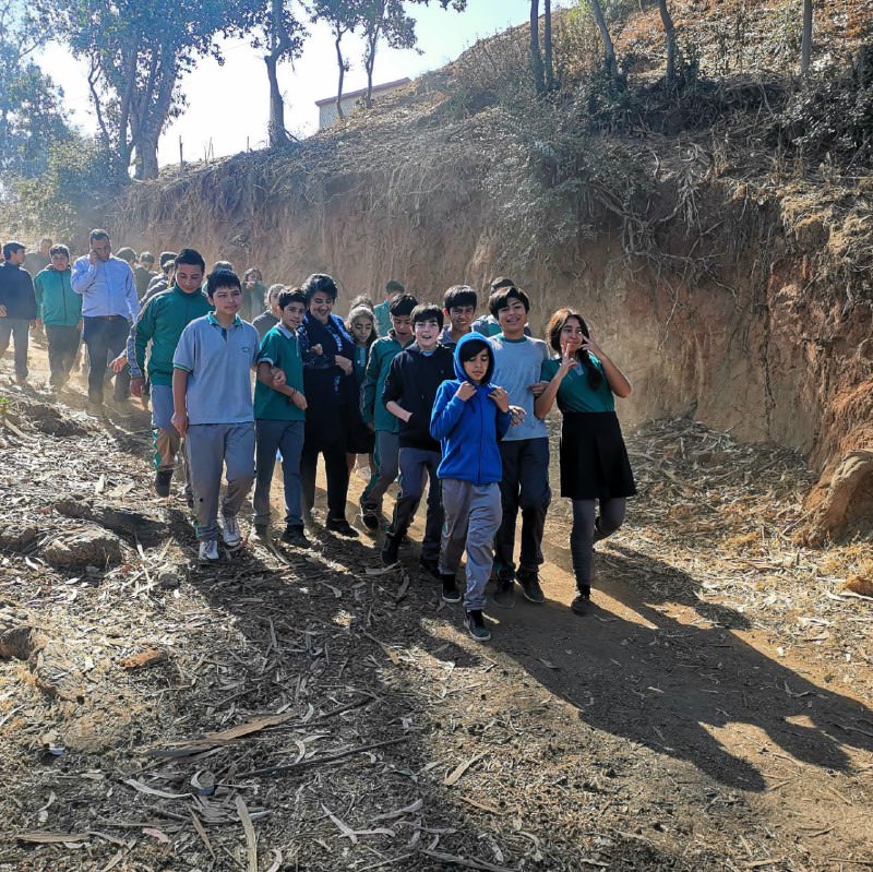 Viña del Mar destaca en rango superior entre las comunas con mejor calidad de vida