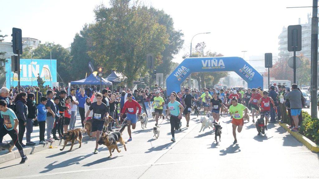Imagen principal: Mamás celebraron en Viña del Mar su día participando en la primera fecha de las Perrorunning 2019