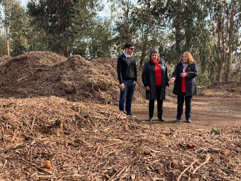 Municipio de Viña del Mar se autoabastece de tierra orgánica gracias a planta de compostaje municipal más grande de Chile