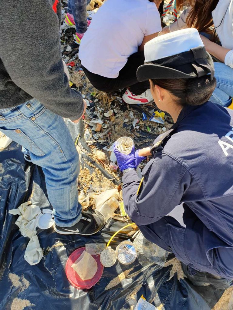 Imagen principal: Con operativo de limpieza en playas, Municipalidad de Viña del Mar conmemoró Día Mundial de los Océanos