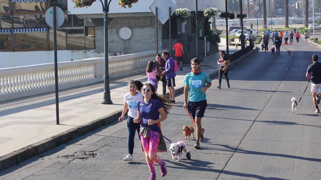 Imagen principal: 3ª fecha de Perrorunning adhiere a celebración del Día del Niño en Viña del Mar