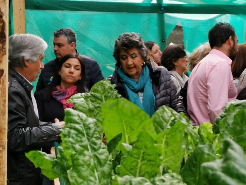 Municipio de Viña del Mar ofrece a la comunidad talleres de huerto y cultivo