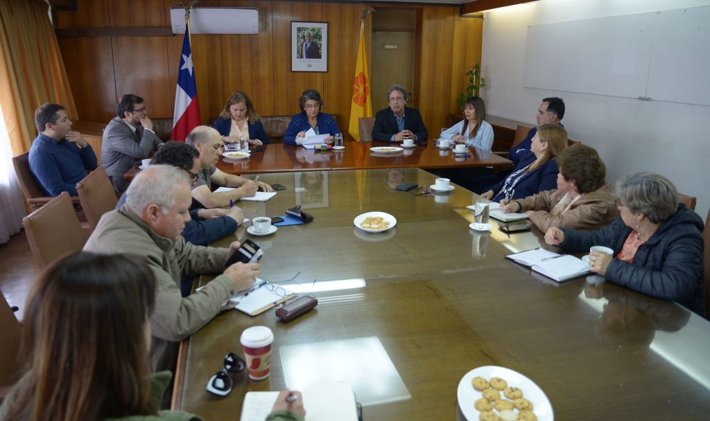 Imagen principal: Virginia Reginato: “En el nuevo Chile todos tenemos que aportar“