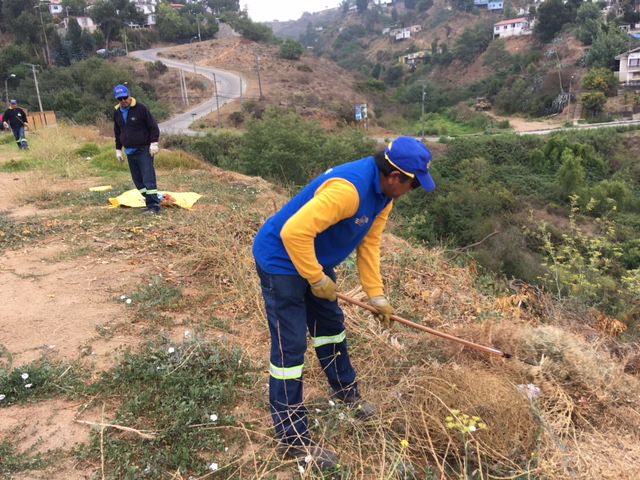 Municipio de Viña del Mar avanza en construcción de cortafuegos