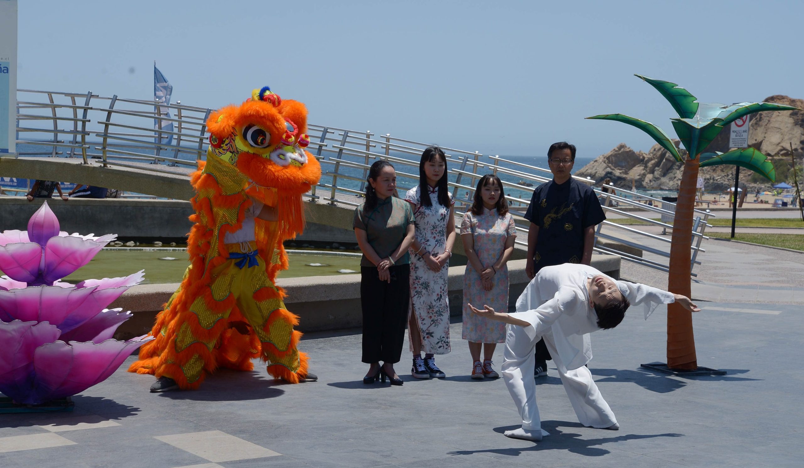 Por décimo año consecutivo Viña del Mar celebra el Nuevo Año Chino con espectáculo gratuito del grupo artístico Shenzen