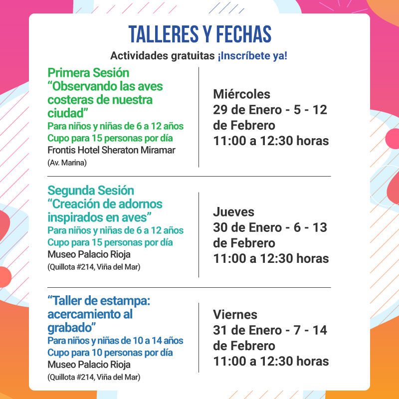 Talleres de verano para conocer el patrimonio cultural y natural en Viña del Mar