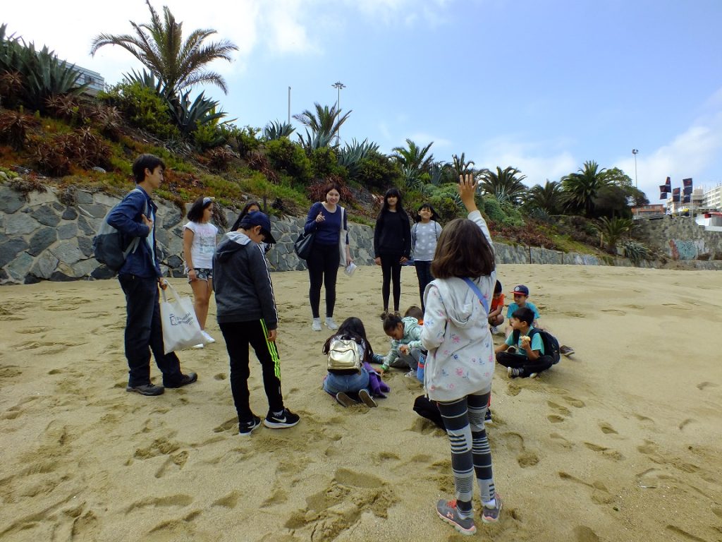 Imagen principal: Continúan desarrollándose los talleres de verano para conocer el patrimonio cultural y natural en Viña del Mar