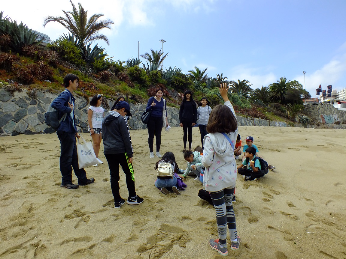 Continúan desarrollándose los talleres de verano para conocer el patrimonio cultural y natural en Viña del Mar