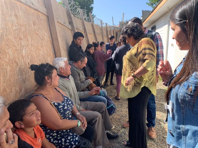 Municipio de Viña del Mar supera las 20 mil mascotas esterilizadas en la última década