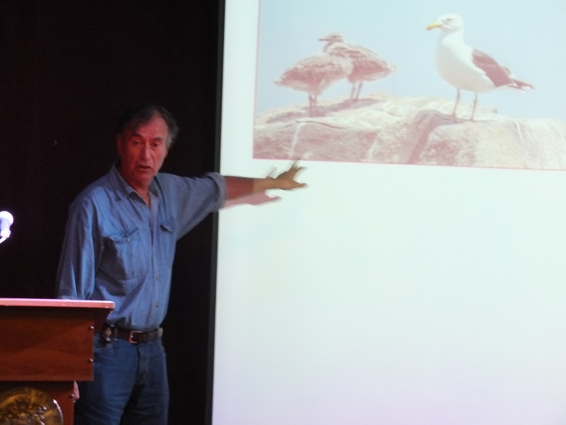 Festival de Aves de Viña se celebrará con dos excursiones en marzo