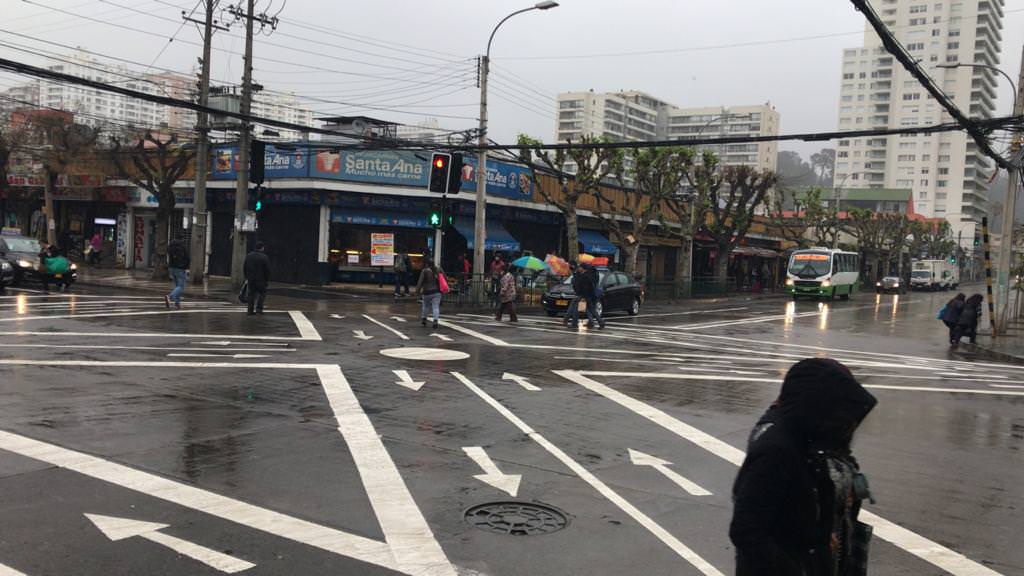 Municipio de Viña del Mar implementa primeros cruces peatonales estilo Tokio de la región