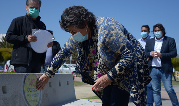 Viña, prevención y reactivación