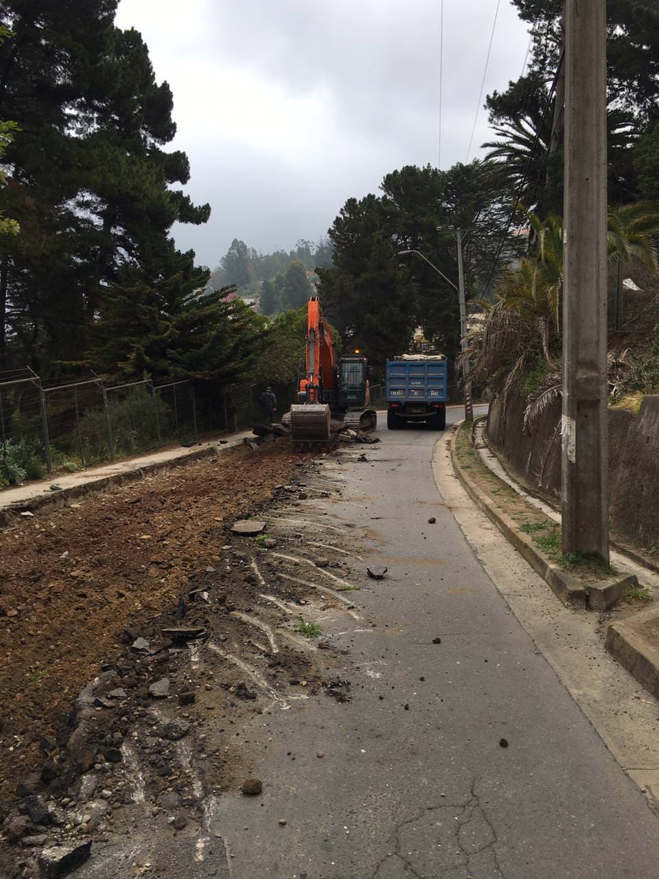 Municipio de Viña del Mar inició reposición de pavimento en dos vías de la ciudad