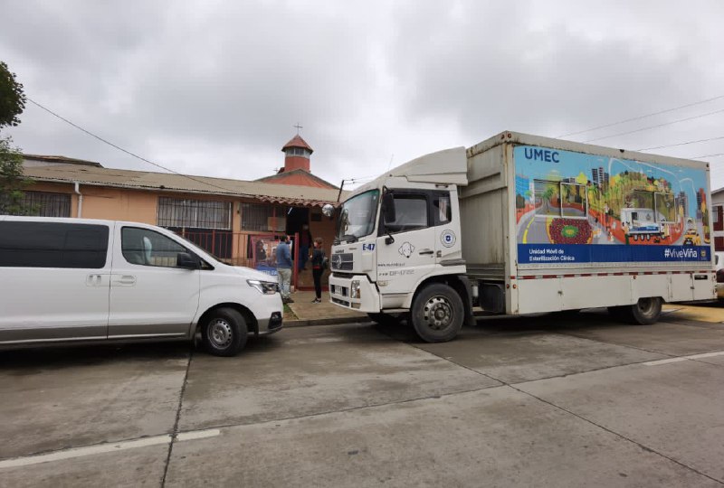 Municipio de Viña del mar retoma programa de esterilización de mascotas