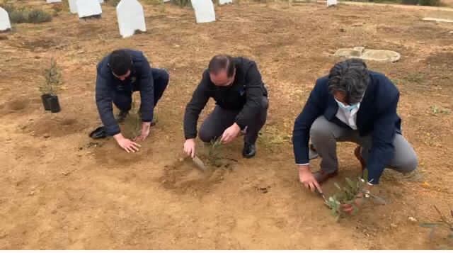 Con proyecto de arborización Cementerio Santa Inés de Viña del Mar mejora su parte alta
