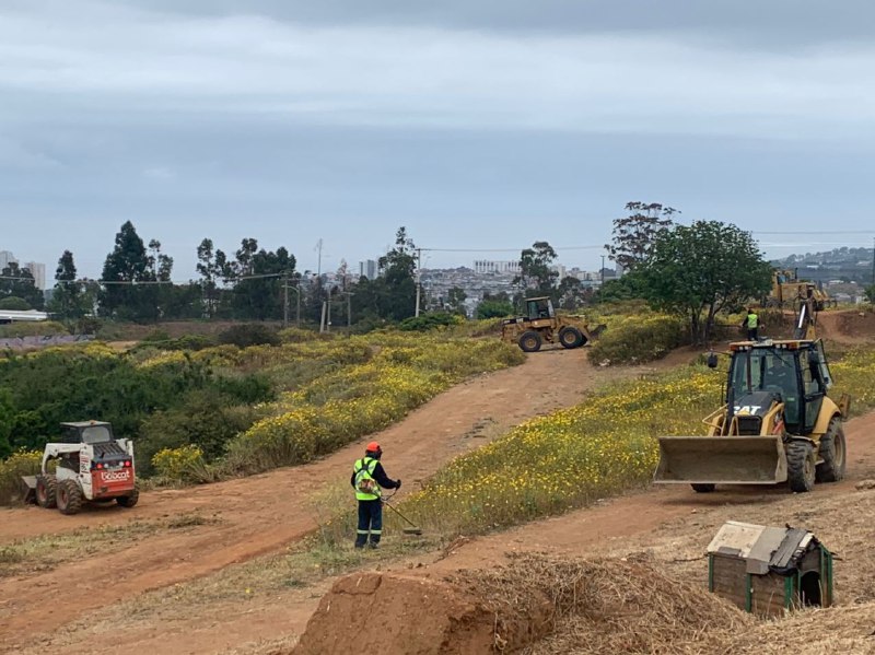 Municipio de Viña del Mar aumenta extensión de cortafuegos en Plan de prevención de incendios forestales