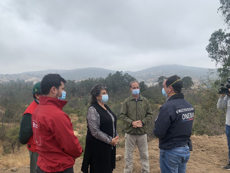 150 kilómetros de cortafuegos se han construido y mantenido en Viña del Mar