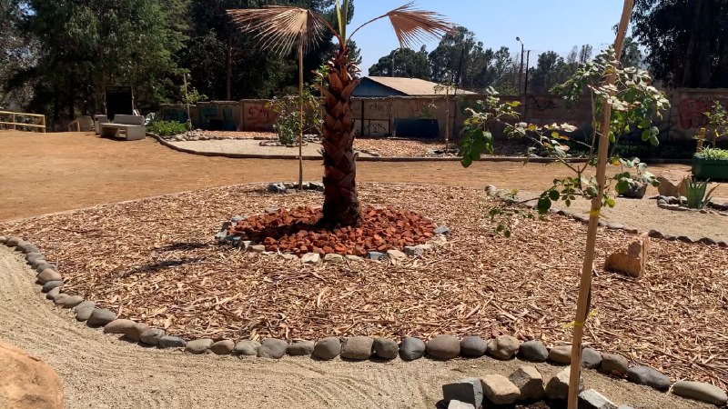 Nueva área verde sustentable inaugura municipio de Viña del Mar en Bosques de Santa Julia