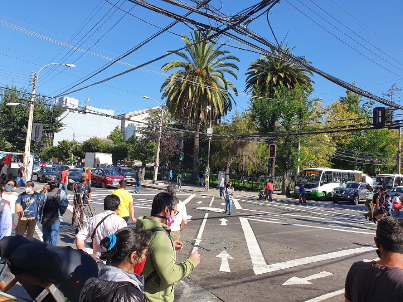 Municipio de Viña del Mar habilita nuevo cruce estilo Tokio