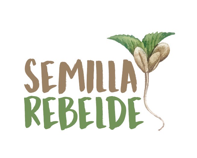 Semilla Rebelde: recuperando espacios públicos para la niñez